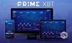 Exploring the World of Trading PrimeXBT