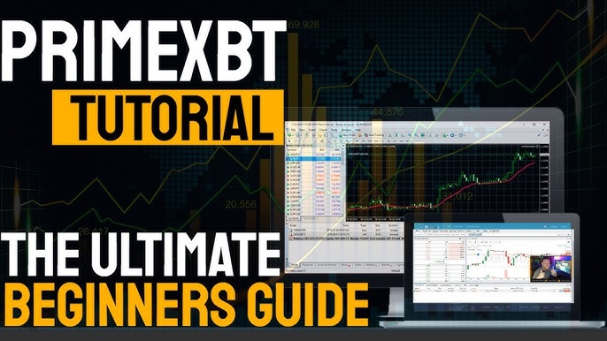 The Comprehensive Guide to PrimeXBT Forex Trading