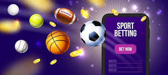 Maximize Your Winnings Vivi gives you the best value on every bet you place